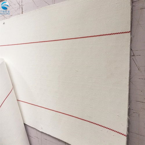 廣東無縫環(huán)形帆布輸送帶 食品級帆布帶